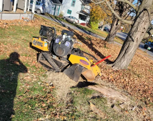 Stump Grinding 1