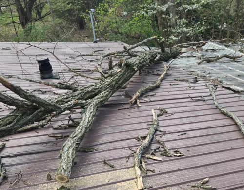 residential emergency tree service (1)